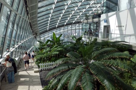 Střešní zahrada Sky garden je přístupná zdarma pouze po předchozí rezervaci. Mně se sem podařilo dostat brzo ráno bez rezervace.